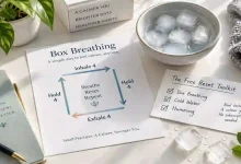A person sitting calmly with eyes closed, one hand on their chest, practicing box breathing. A simple diagram shows the 4-4-4-4 breathing pattern. A sign says "Free Nervous System Reset – 2 Minutes."